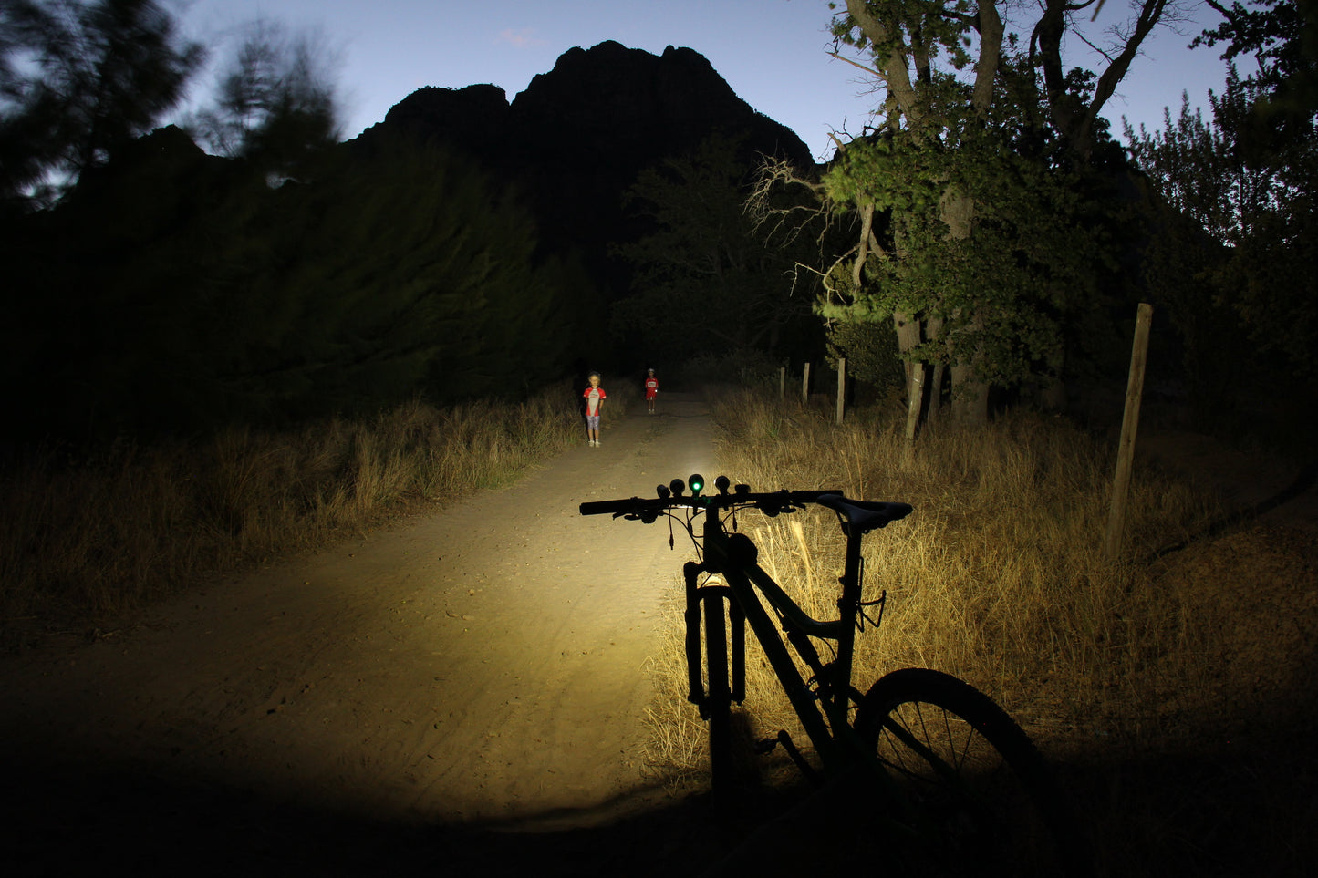 The Baviaans Combo - 2 × Nova + 1 × Luma