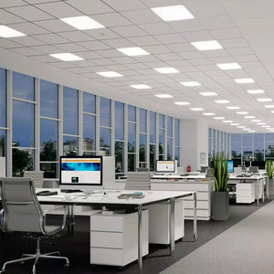 BL Panel Light 600 x 600- 36W - 6000K - 3Yr